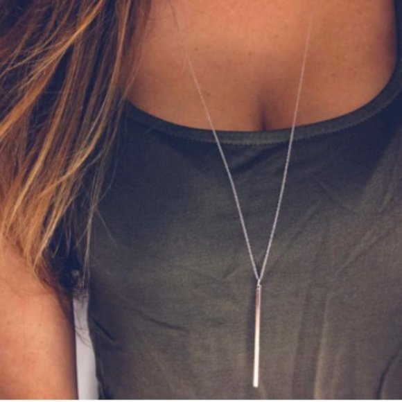 LiveChicStyle Jewelry - 2/$20 Gold or Silver Drop Bar Sweater Necklace